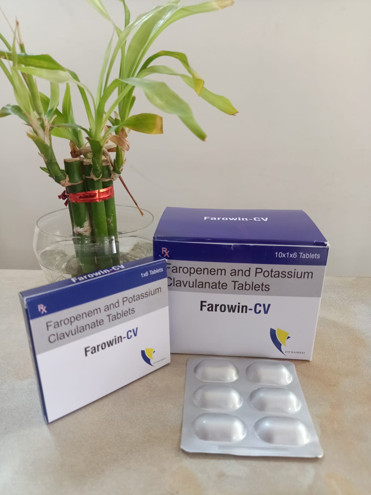 FAROWIN CV
